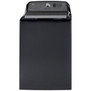 GE Laundry GTW680BMRDG, GTD65EBMRDG IMAGE 2
