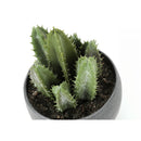 Monarch Home Decor Artificial Plants I 9587 IMAGE 8