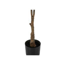 Monarch Home Decor Artificial Plants I 9514 IMAGE 3