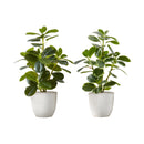 Monarch Home Decor Artificial Plants I 9557 IMAGE 2