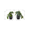 Monarch Home Decor Artificial Plants I 9559 IMAGE 3
