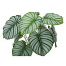 Monarch Home Decor Artificial Plants I 9577 IMAGE 5