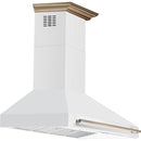  Forno 60-inch Aria Wall-Mounted Range Hood FRHWM5095-60WHT IMAGE 4