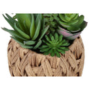  Monarch I 9369 2Pcs 9"H Succulent In 6" Woven Pot - Green/Brown IMAGE 6