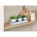  Monarch I 9372 3Pcs 6"H Succulent Iron Pot/ Metal Tray - Green/Silver IMAGE 2