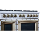  Forno 48-inch, 6.7 Cu.Ft. Valente Dual Fuel Range FFSGS6199-48CPWHT IMAGE 12