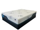 Sleep In Mattress Collection Cuivre Healthy Beds Rx1-avec ressorts 12"